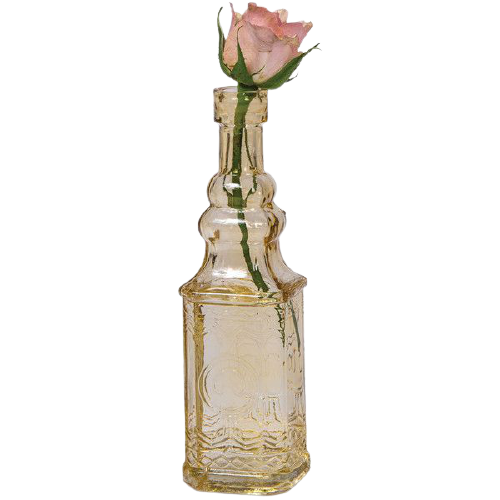 Роза бутылочная