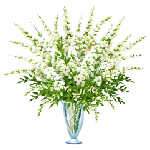 Элегантные белые цветы в стеклянной вазе
